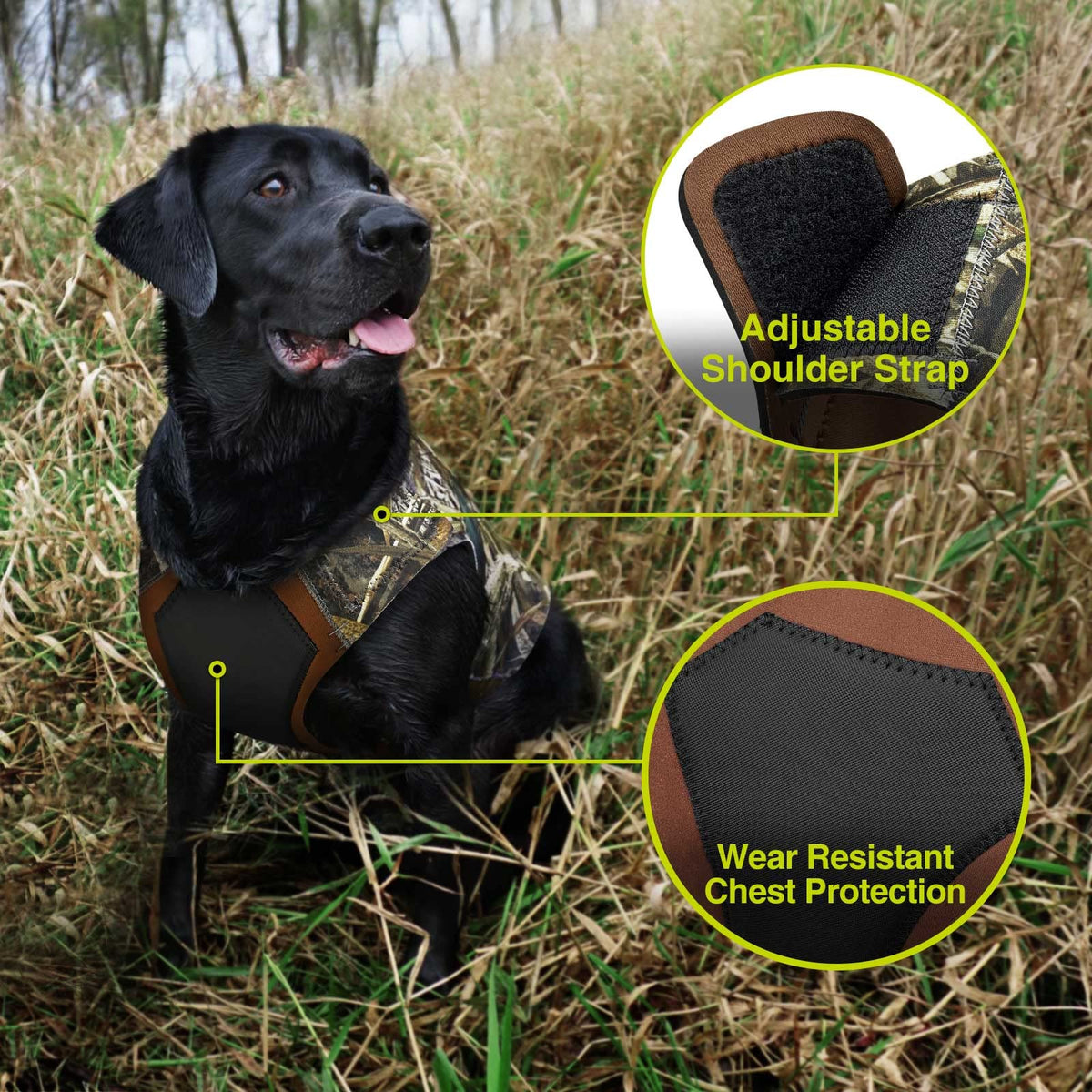 Hunting Accessories for animals